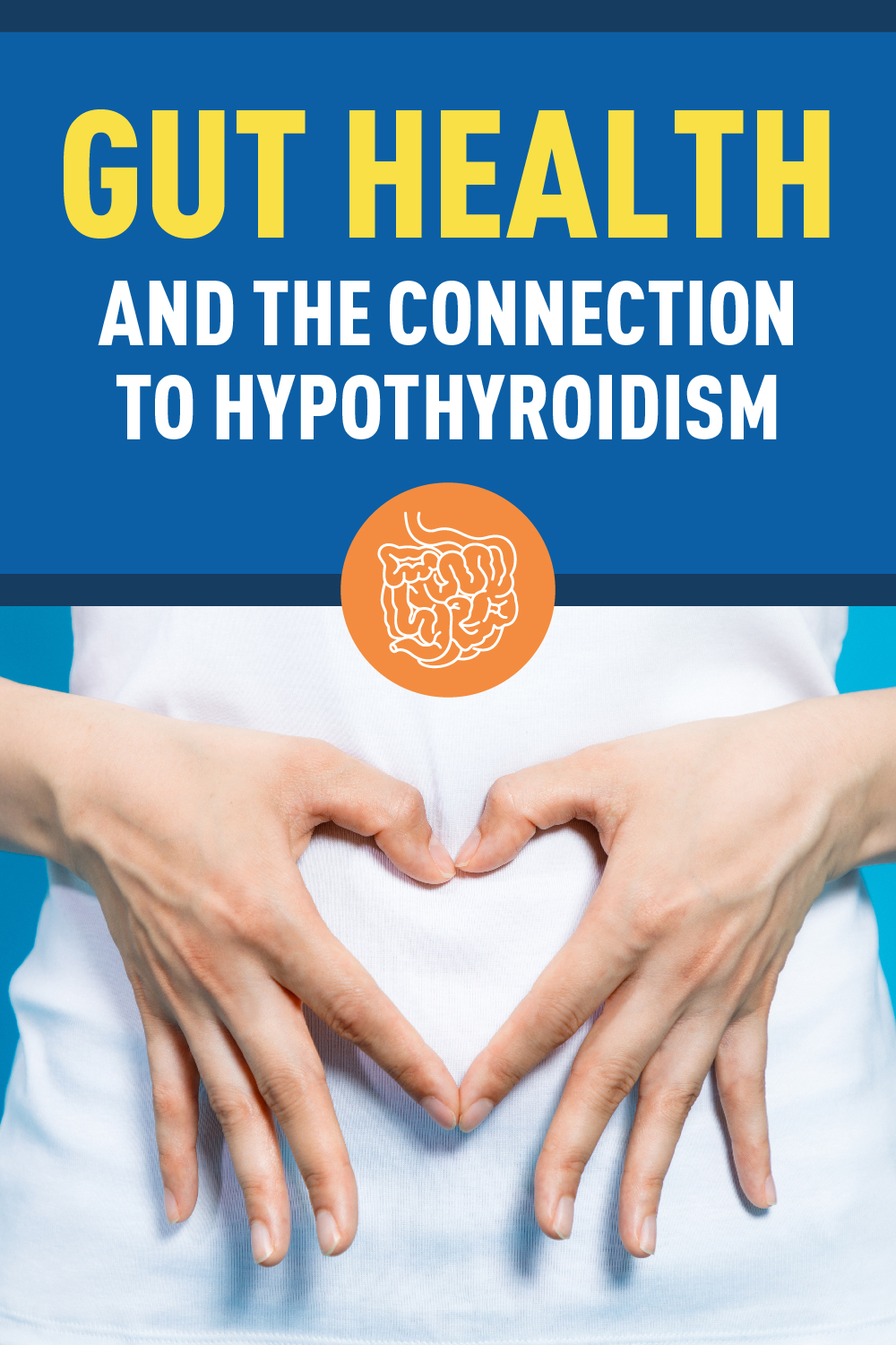 Gut Health and the Connection to Hypothyroidism